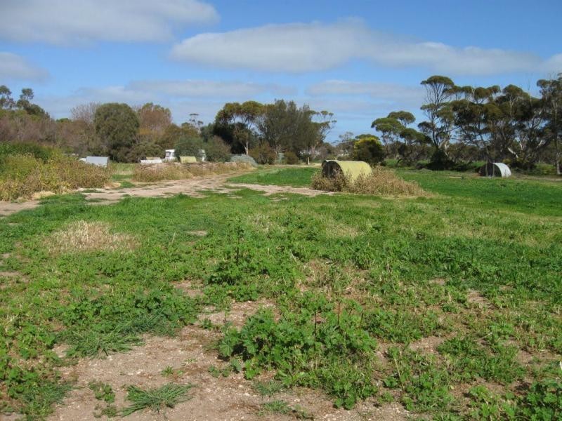 1032 Port Victoria Road, Port Victoria SA 5573