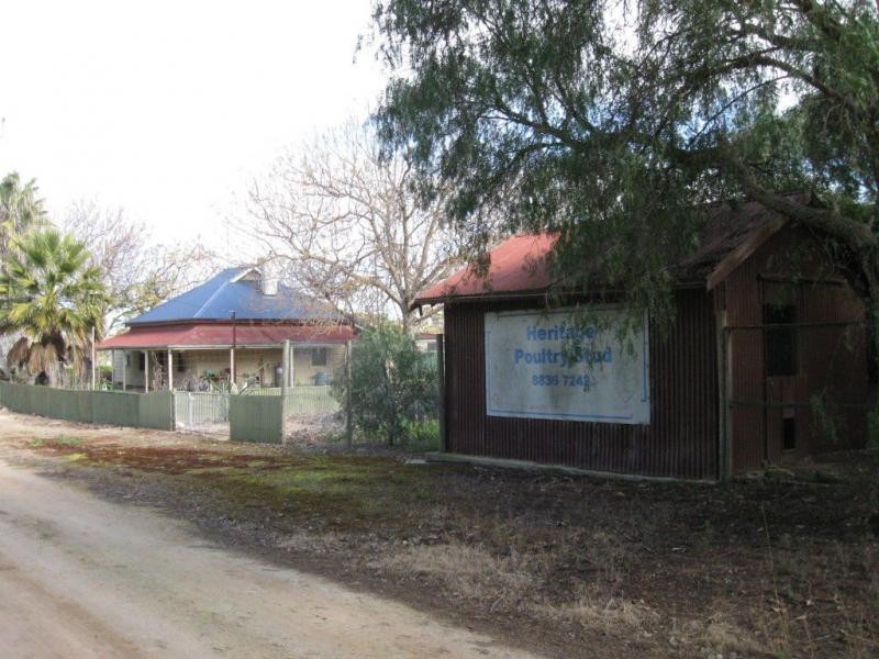 822 Sth Kilkerran & 1032 Port Victoria Road, South Kilkerran SA 5573