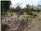 822 Sth Kilkerran & 1032 Port Victoria Road, South Kilkerran SA 5573