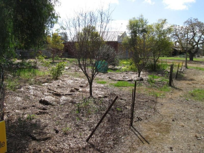 822 Sth Kilkerran & 1032 Port Victoria Road, South Kilkerran SA 5573