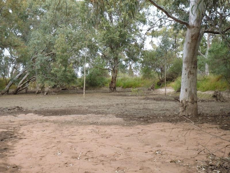 11 Muster Drive, Napperby SA 5540