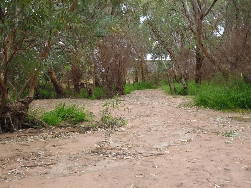 11 Muster Drive, Napperby SA 5540