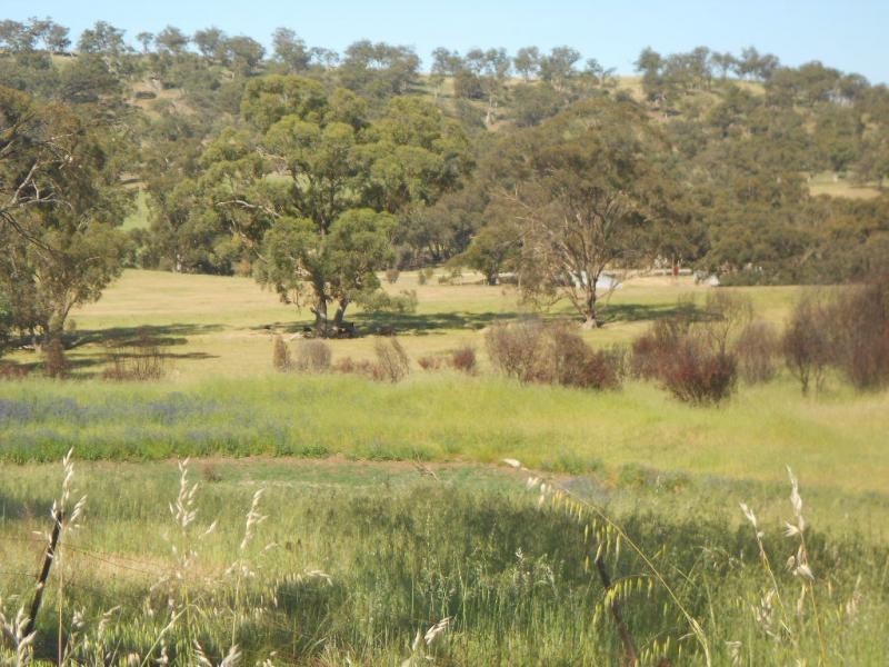Section 252 Turners Road, Wirrabara SA 5481