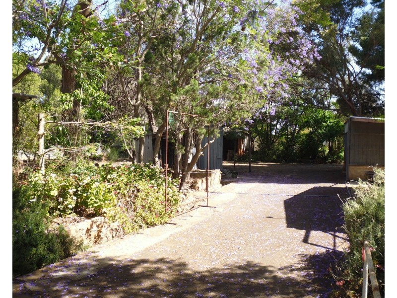 17280 Horrocks Highway, Laura SA 5480