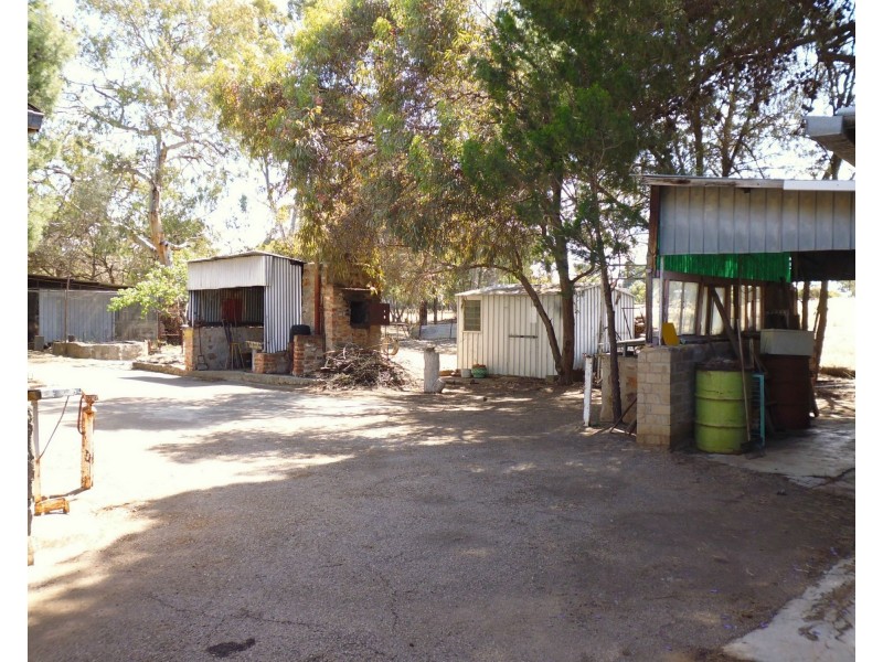 17280 Horrocks Highway, Laura SA 5480