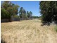 2 Collins Street, Jamestown SA 5491