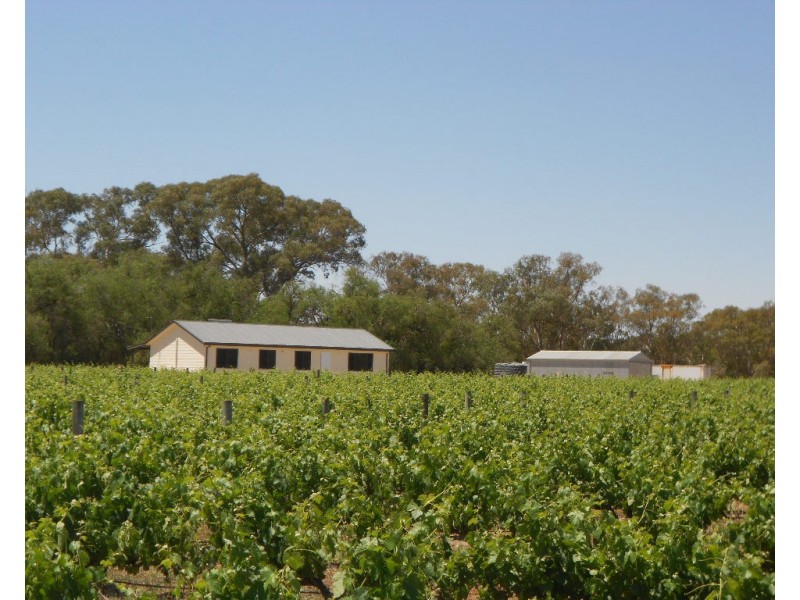 6 Beetaloo Road, Laura SA 5480