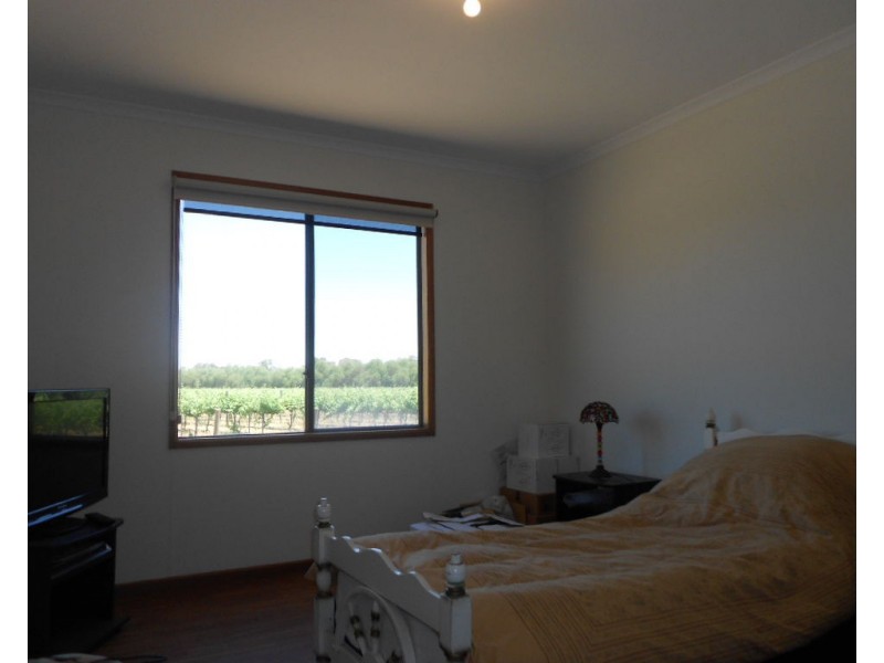 6 Beetaloo Road, Laura SA 5480