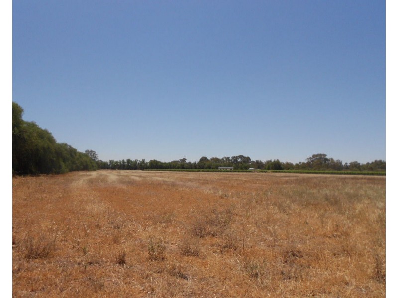 6 Beetaloo Road, Laura SA 5480