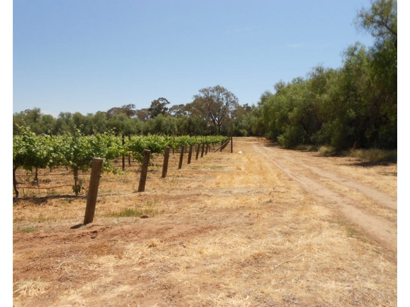 6 Beetaloo Road, Laura SA 5480