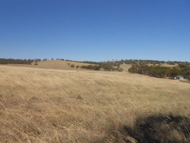 264 H Wilds Road, Wirrabara SA 5481