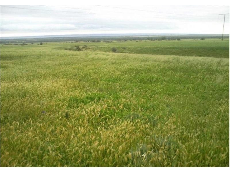 L77 & 90 Bridle Track Road, Baroota SA 5495