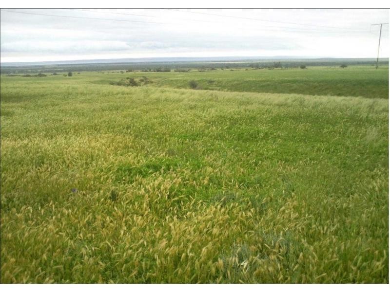 L77 & 90 Bridle Track Road, Baroota SA 5495