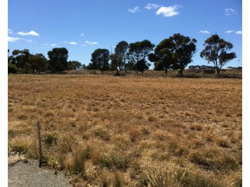 Lot 31 William Street, Booleroo Centre SA 5482