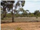 474 Scenic Drive, Nelshaby SA 5540