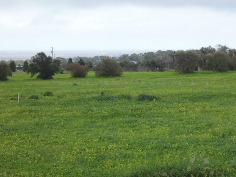 104 Scenic Drive, Napperby SA 5540