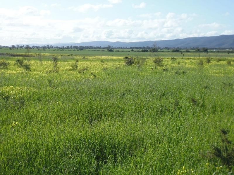 140 Oaks Road, Napperby SA 5540