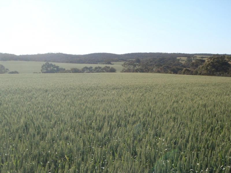 Beetaloo SA 5523