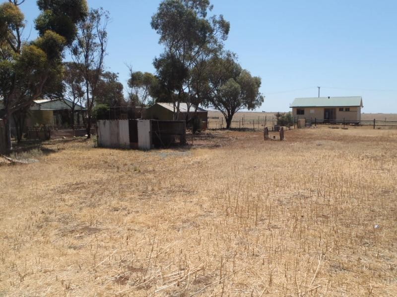 91-93 Hoskin Street, Terowie SA 5421