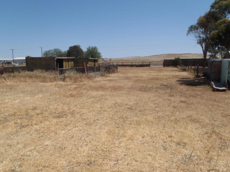 91-93 Hoskin Street, Terowie SA 5421