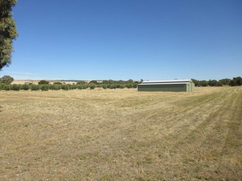 L103 Laura-Beetaloo Road, Laura SA 5480