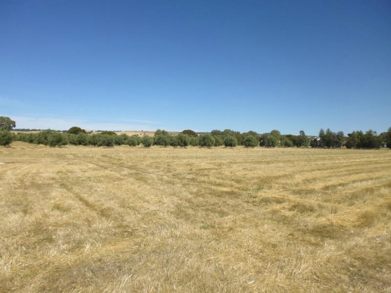 L103 Laura-Beetaloo Road, Laura SA 5480