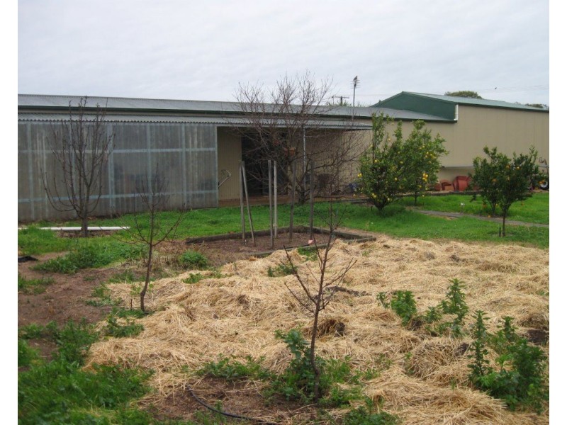 21 Parnell Terrace, Price SA 5570