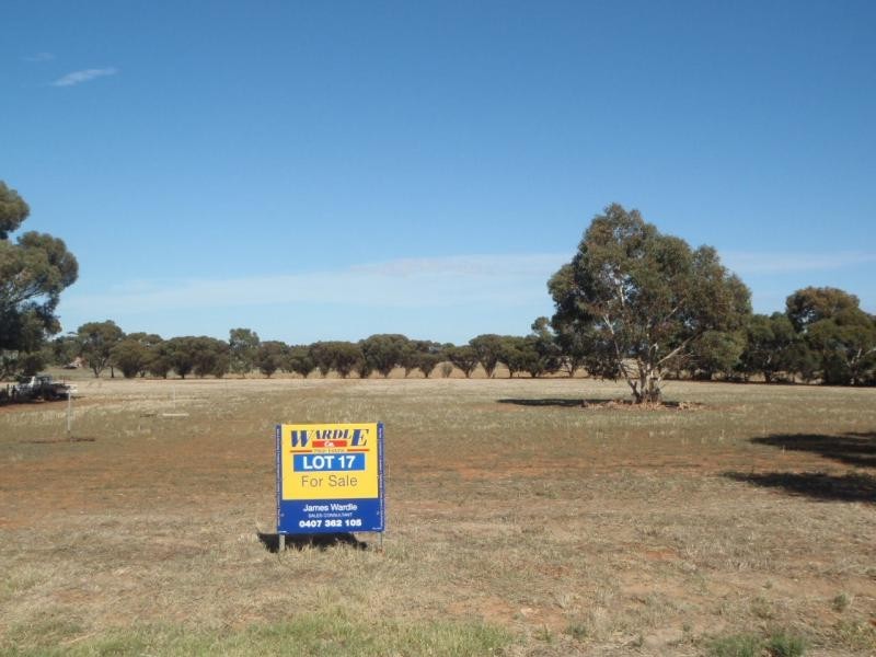 L17 Kinnane Street, Jamestown SA 5491