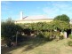 81 Railway Terrace, Crystal Brook SA 5523