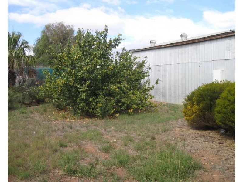 4 Parara Avenue, Maitland SA 5573