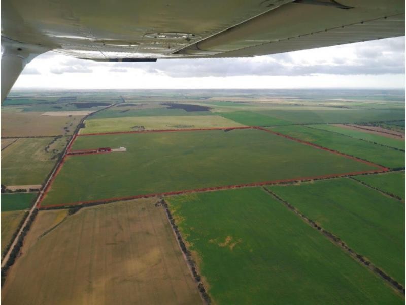 L10 Johnson Road, Maitland SA 5573