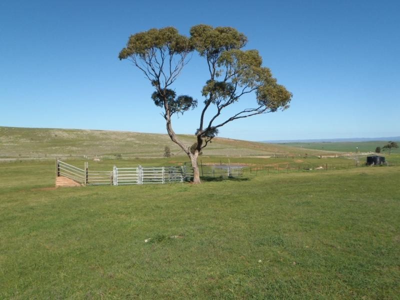 Section 235E Appila-Tarcowie Road, Tarcowie SA 5431