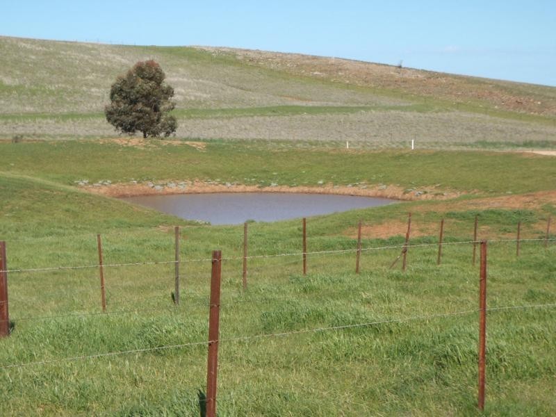 Section 235E Appila-Tarcowie Road, Tarcowie SA 5431