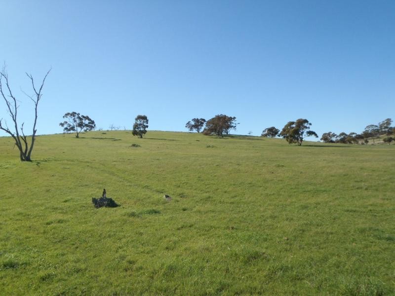 Section 235E Appila-Tarcowie Road, Tarcowie SA 5431