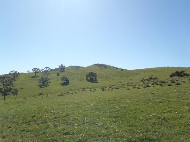 Section 235E Appila-Tarcowie Road, Tarcowie SA 5431