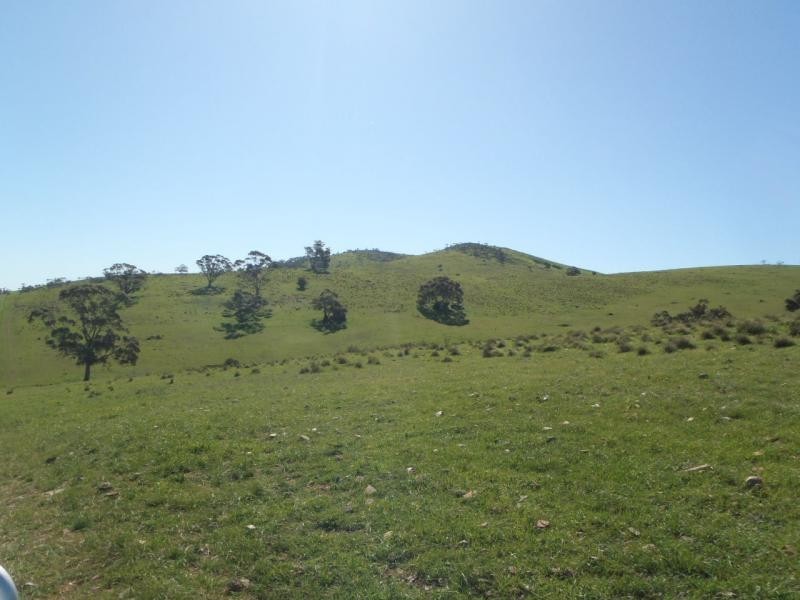 Section 235E Appila-Tarcowie Road, Tarcowie SA 5431