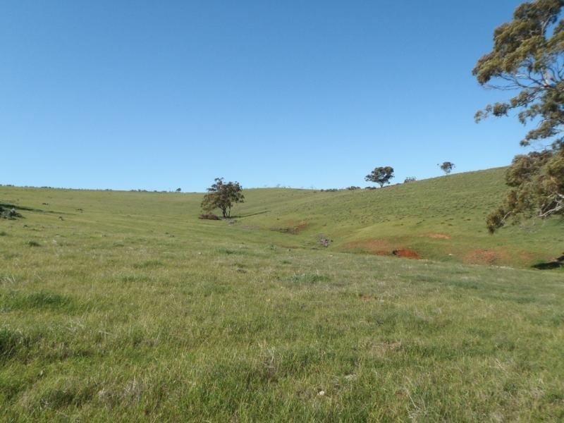 Section 235E Appila-Tarcowie Road, Tarcowie SA 5431