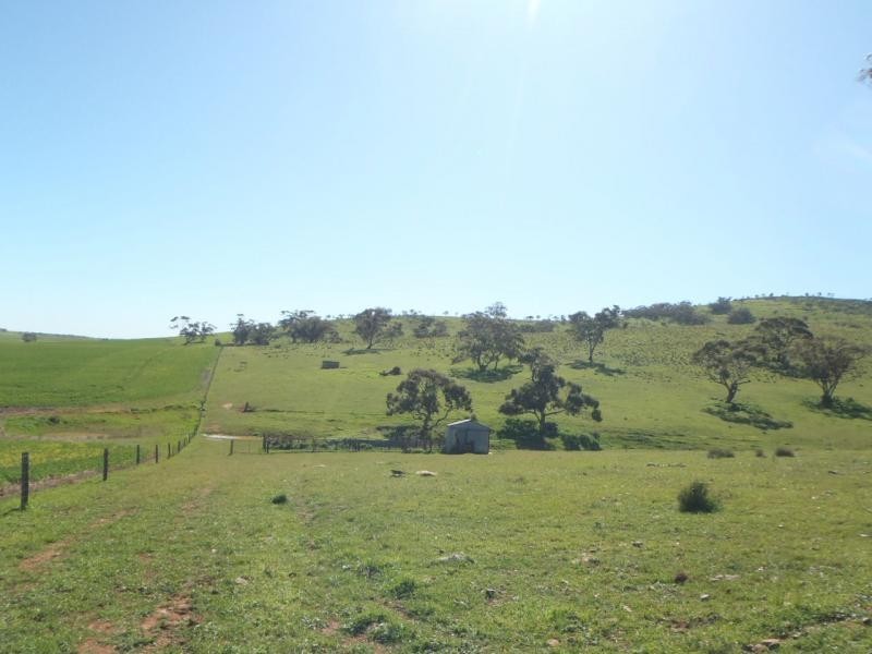 Section 235E Appila-Tarcowie Road, Tarcowie SA 5431