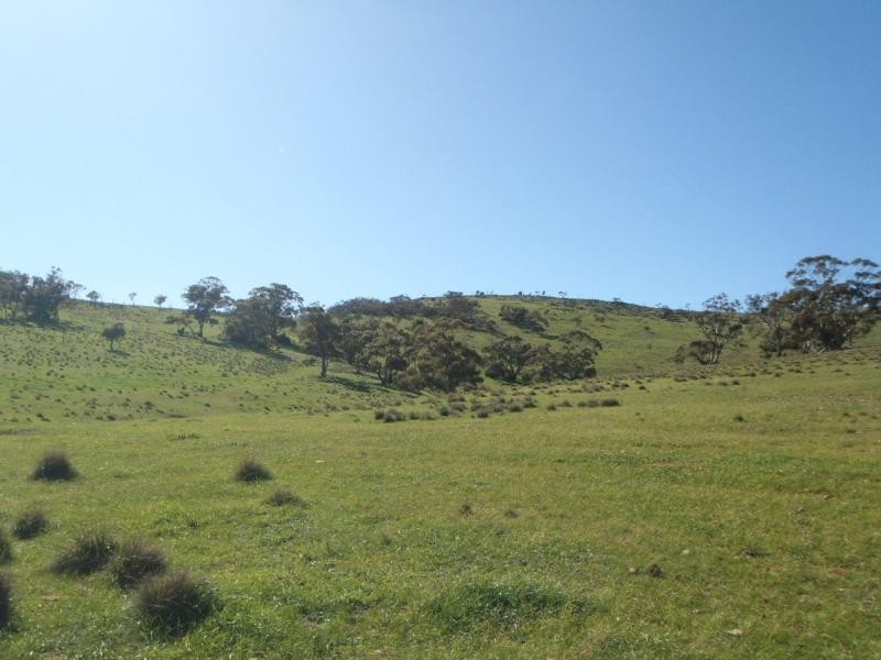 Section 235E Appila-Tarcowie Road, Tarcowie SA 5431