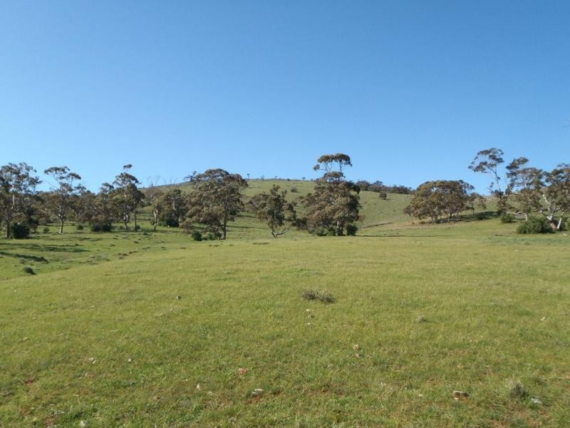 Section 235E Appila-Tarcowie Road, Tarcowie SA 5431