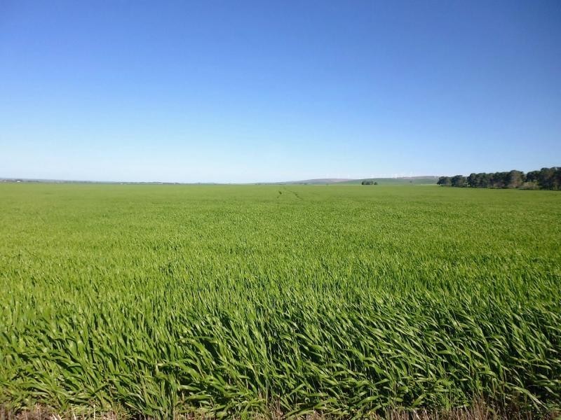 1 Ingram Gap Road, Redhill SA 5521