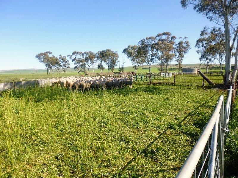 1 Ingram Gap Road, Redhill SA 5521