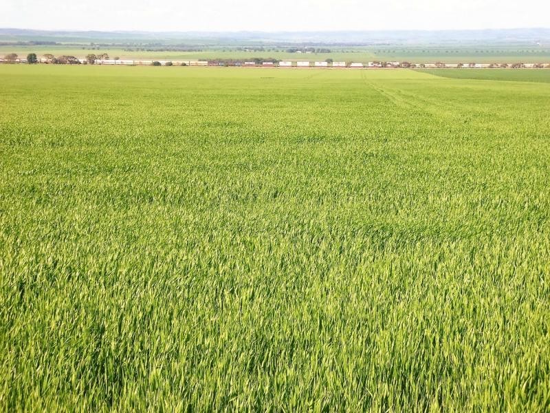 1 Ingram Gap Road, Redhill SA 5521