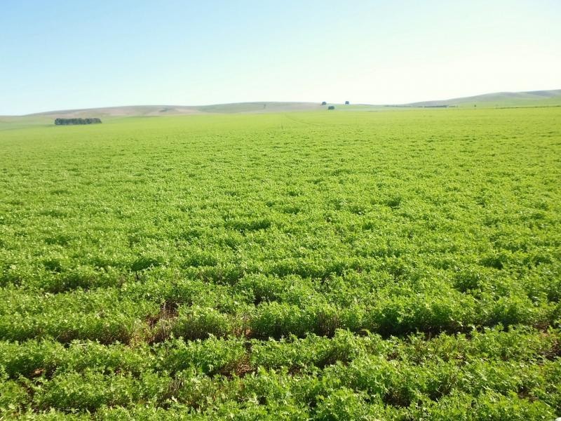 1 Ingram Gap Road, Redhill SA 5521