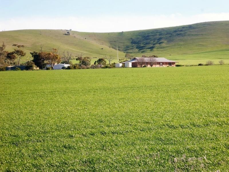 1 Ingram Gap Road, Redhill SA 5521