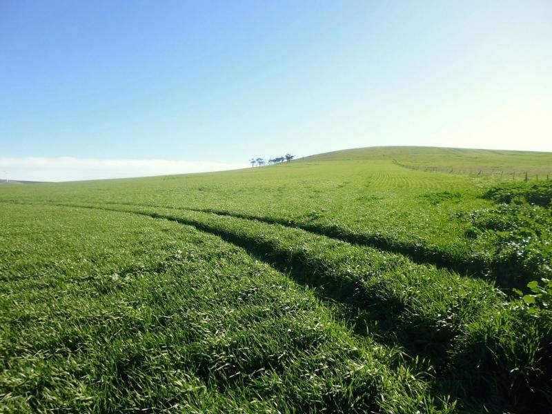 1 Ingram Gap Road, Redhill SA 5521