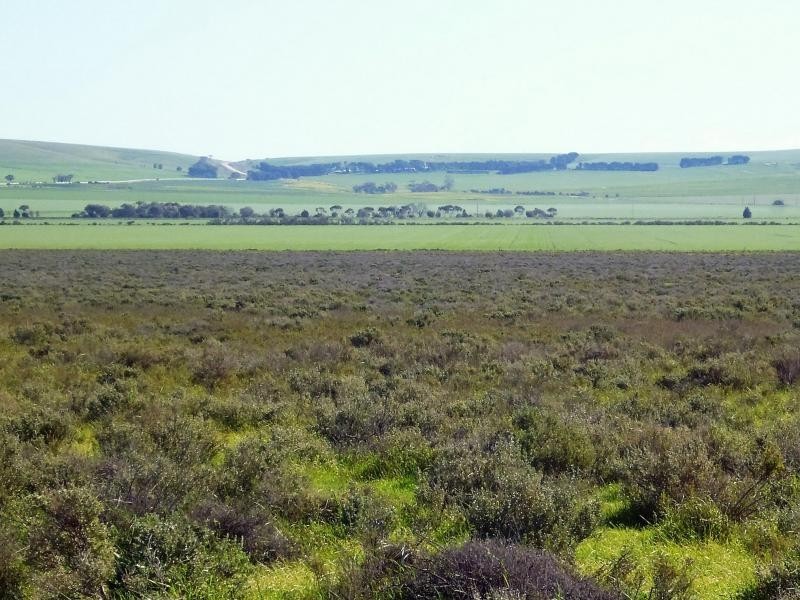 1 Ingram Gap Road, Redhill SA 5521