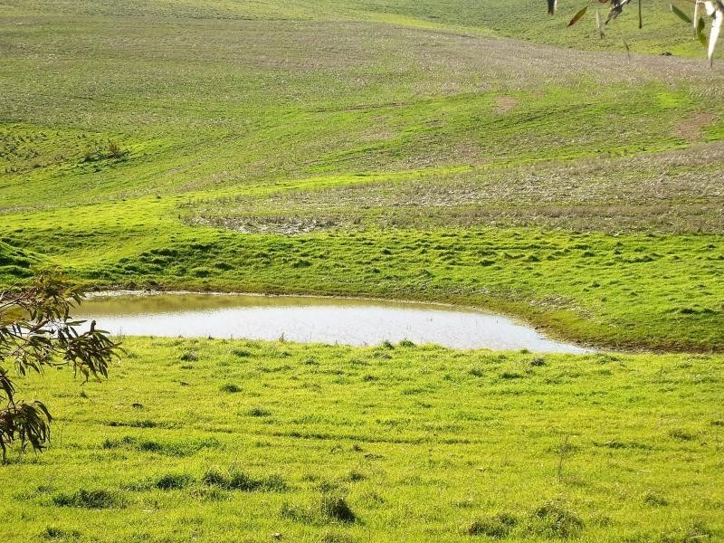 1 Ingram Gap Road, Redhill SA 5521