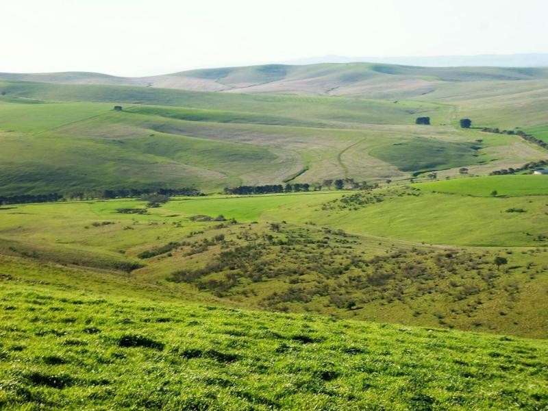 1 Ingram Gap Road, Redhill SA 5521