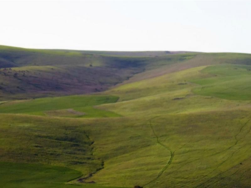 1 Ingram Gap Road, Redhill SA 5521